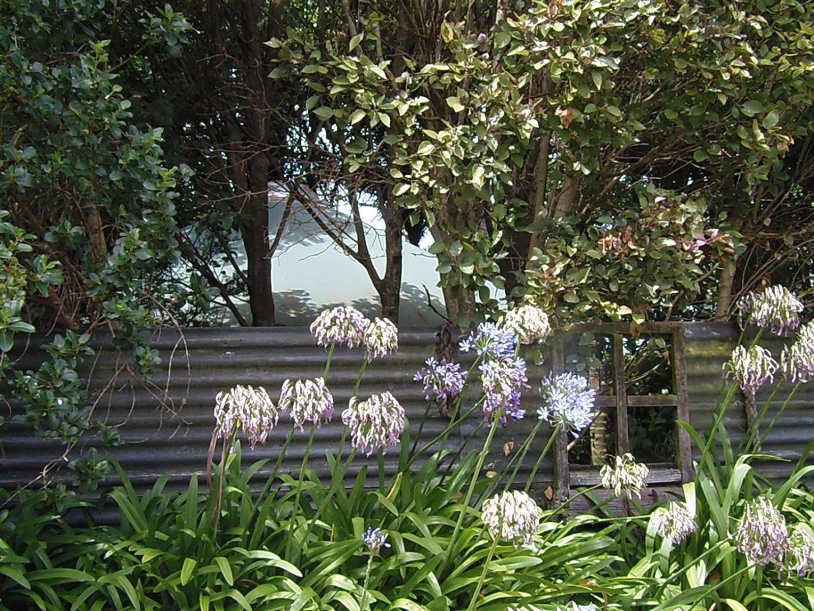Nikau Sanctuary Hotel Raglan Exterior photo